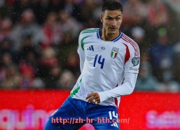 华体会hth登录入口-法甲里昂进攻战术的特点与实施效果